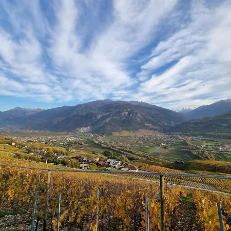 Apartman Blackbird *