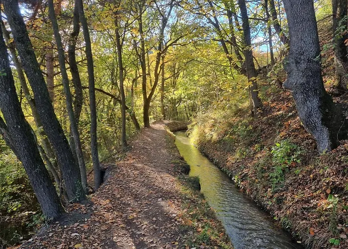 Apartamento Blackbird *