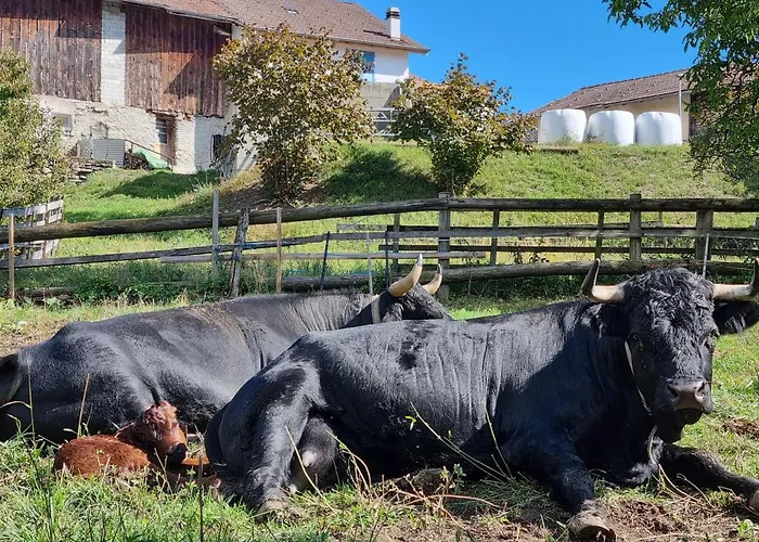 Apartamento Blackbird *
