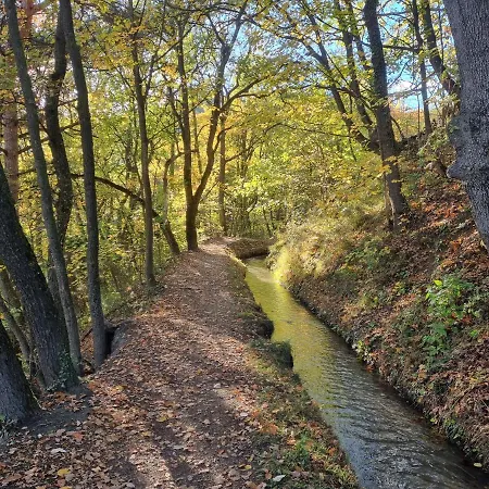 Apartamento Blackbird *